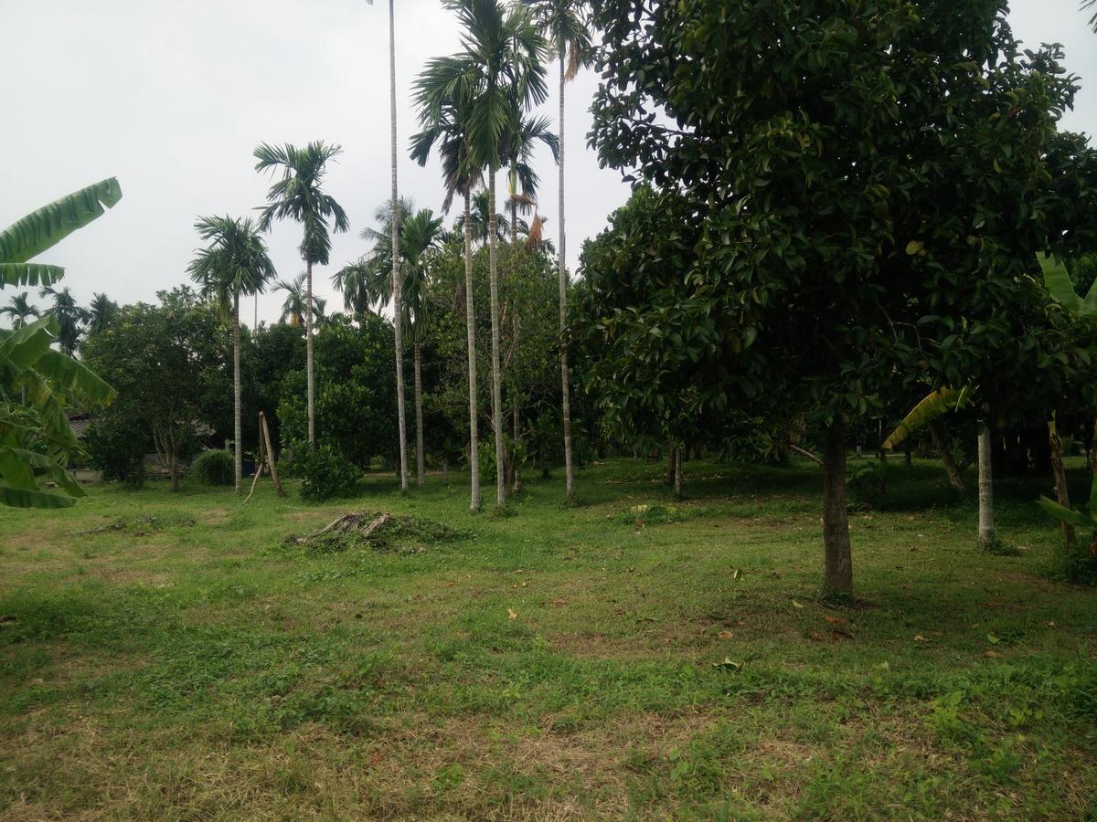 Deva Garden Resort Prachinburi Buitenkant foto