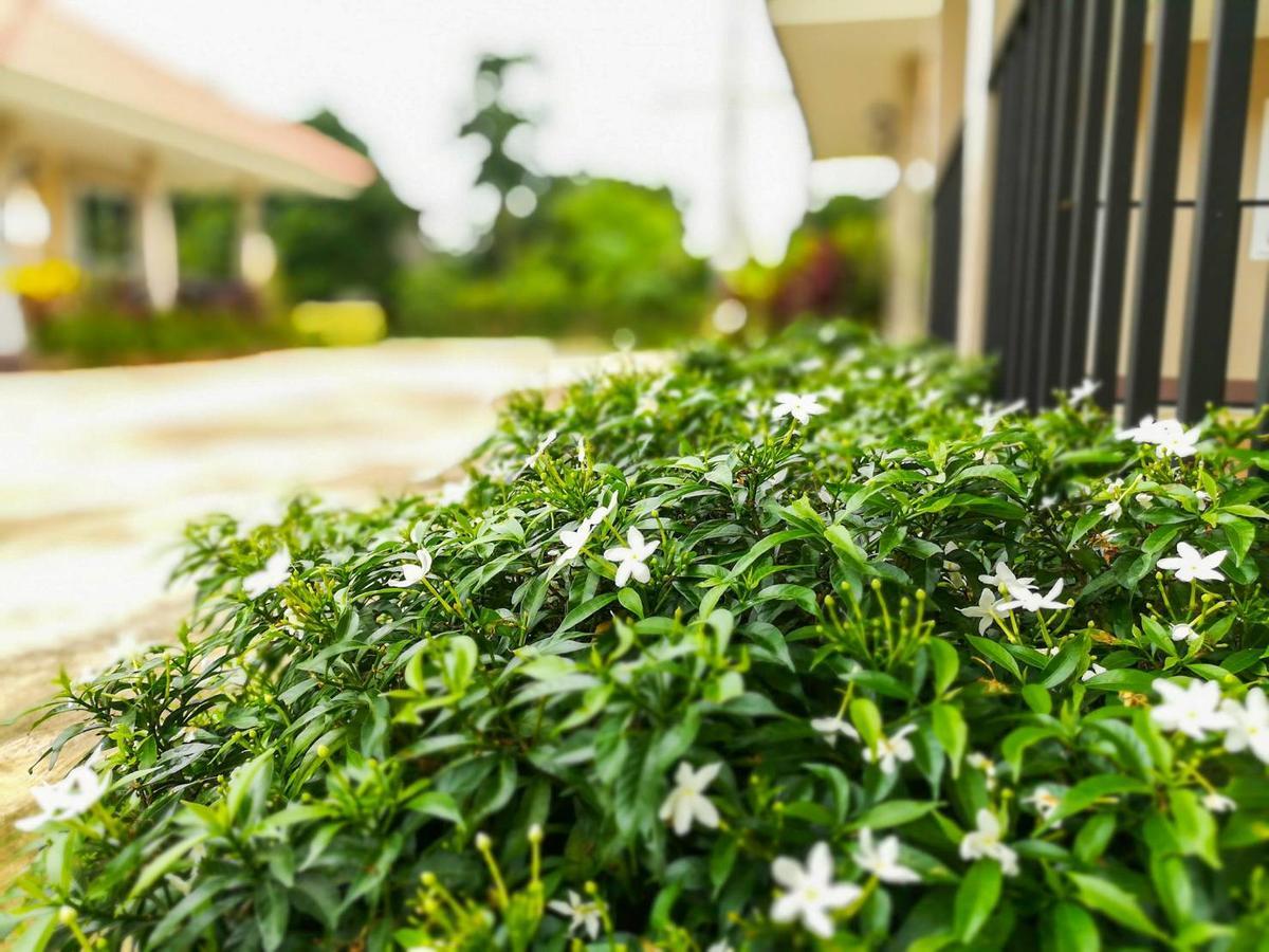 Deva Garden Resort Prachinburi Buitenkant foto
