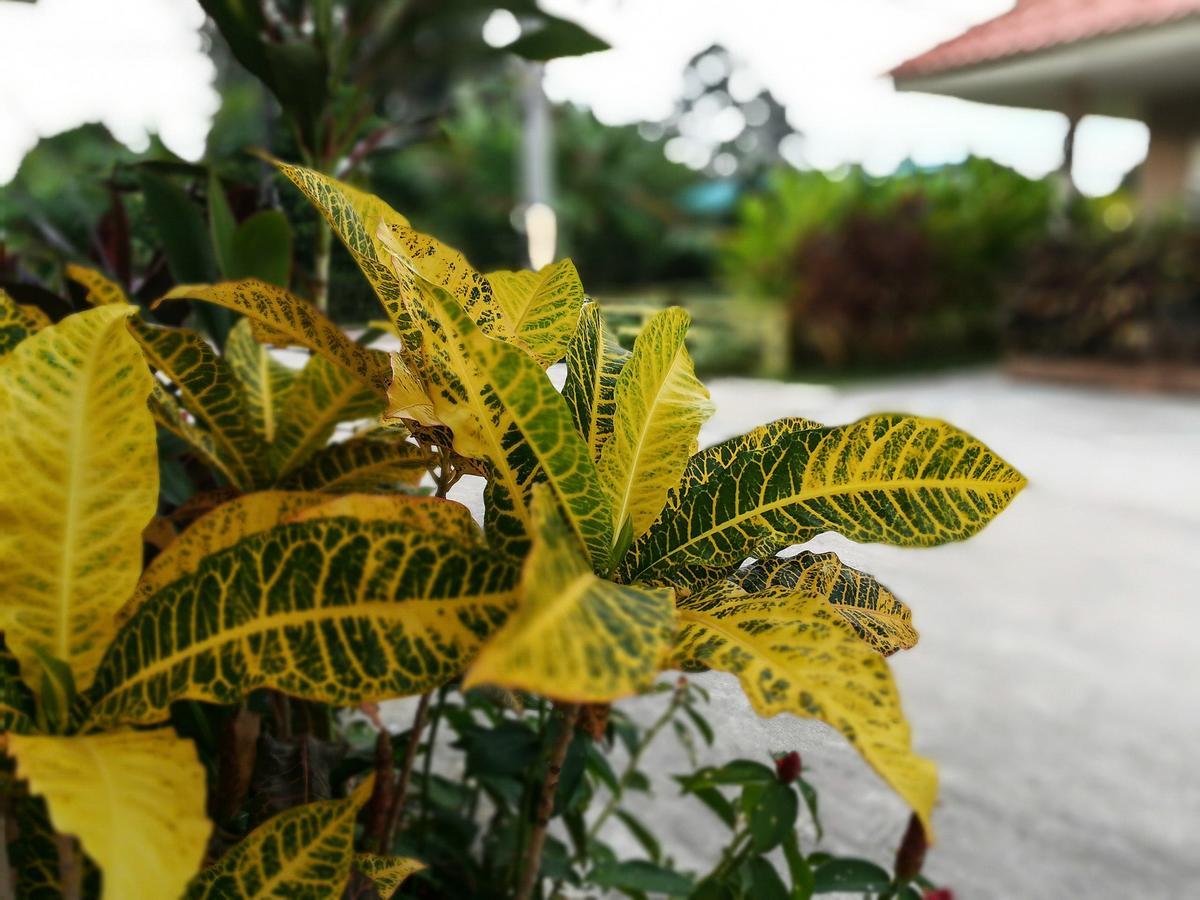 Deva Garden Resort Prachinburi Buitenkant foto